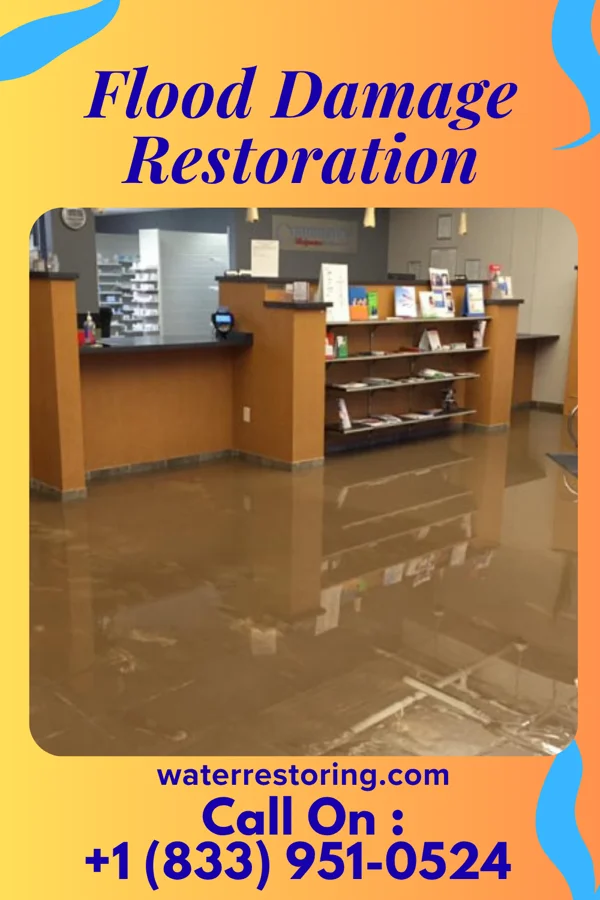 Flood Damage Restoration in Henderson, MD