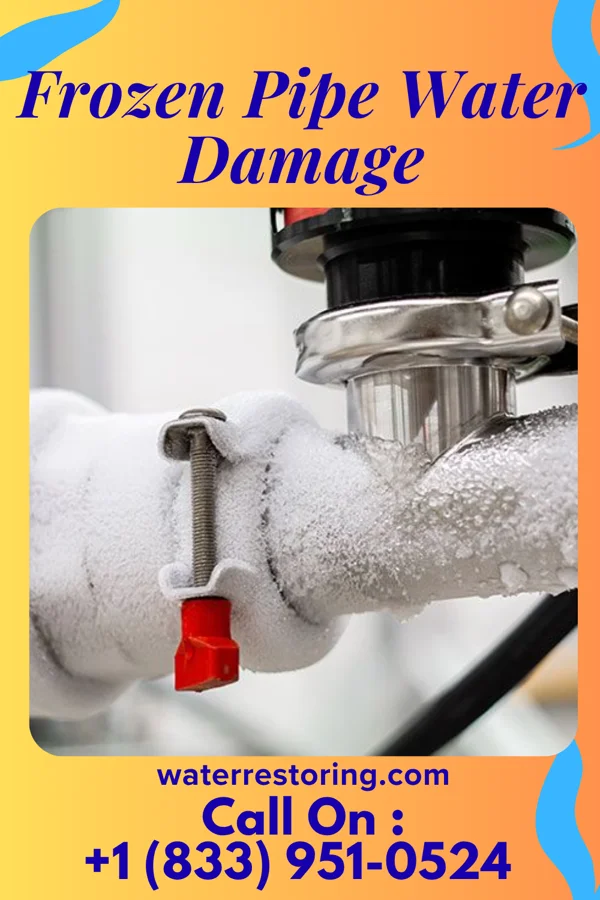 Frozen Pipe Water Damage in Henderson, MD